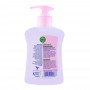 Dettol Skincare Anti-Bacterial Moisturising Hand Wash 250ml