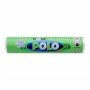 Polo Peppermint, Extra Mint Roll, Imported, 27g