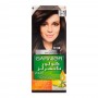 Garnier Color Natural Hair Color 4.1