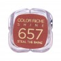 LOreal Paris Color Riche Shine Lipstick, 657 Steal The Shine