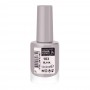 Golden Rose Color Expert Nail Lacquer, 103