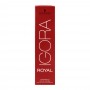 Schwarzkopf Igora Royal Hair Colour, 9,5-4 Pastel Beige