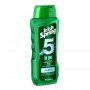Irish Spring 5-In-1 Shampoo, Conditioner, Body Wash, Face Wash & Deodorizer, 532ml