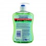 Astonish Clean & Protect Aloe Vera Antibacterial Hand Wash, 650ml