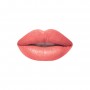 Vida New York Creme Lipstick, 851 Adorable
