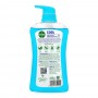 Dettol Cool Icy Mint & Bergamot Antibacterial Body Wash, 625ml