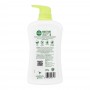 Dettol Moisture Aloe Vera & Avocado Antibacterial Body Wash, 625ml