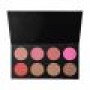 Color Studio Pro Blush Palette Vol 2