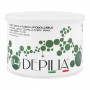 Depilia Aloe Vera 1.4 Liposoluble Depilatory Wax, 400ml