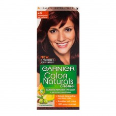 Garnier Color Natural Hair Color 2.6