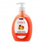 Hemani Citrus Tangy Citrus Hand Wash, 500ml