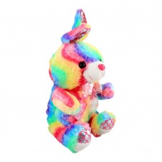 Live Long Rainbow Bear Stuff Toys, 1646