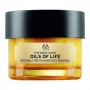 The Body Shop Oils Of Life Intensely Revitalising Eye Cream-Gel, 20ml